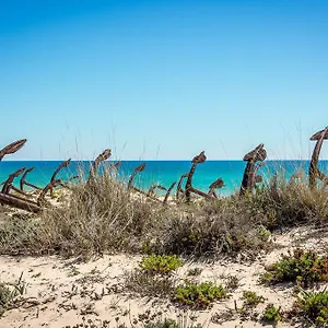 pedras-del-rei-tavira.hotelaalgarve.com/